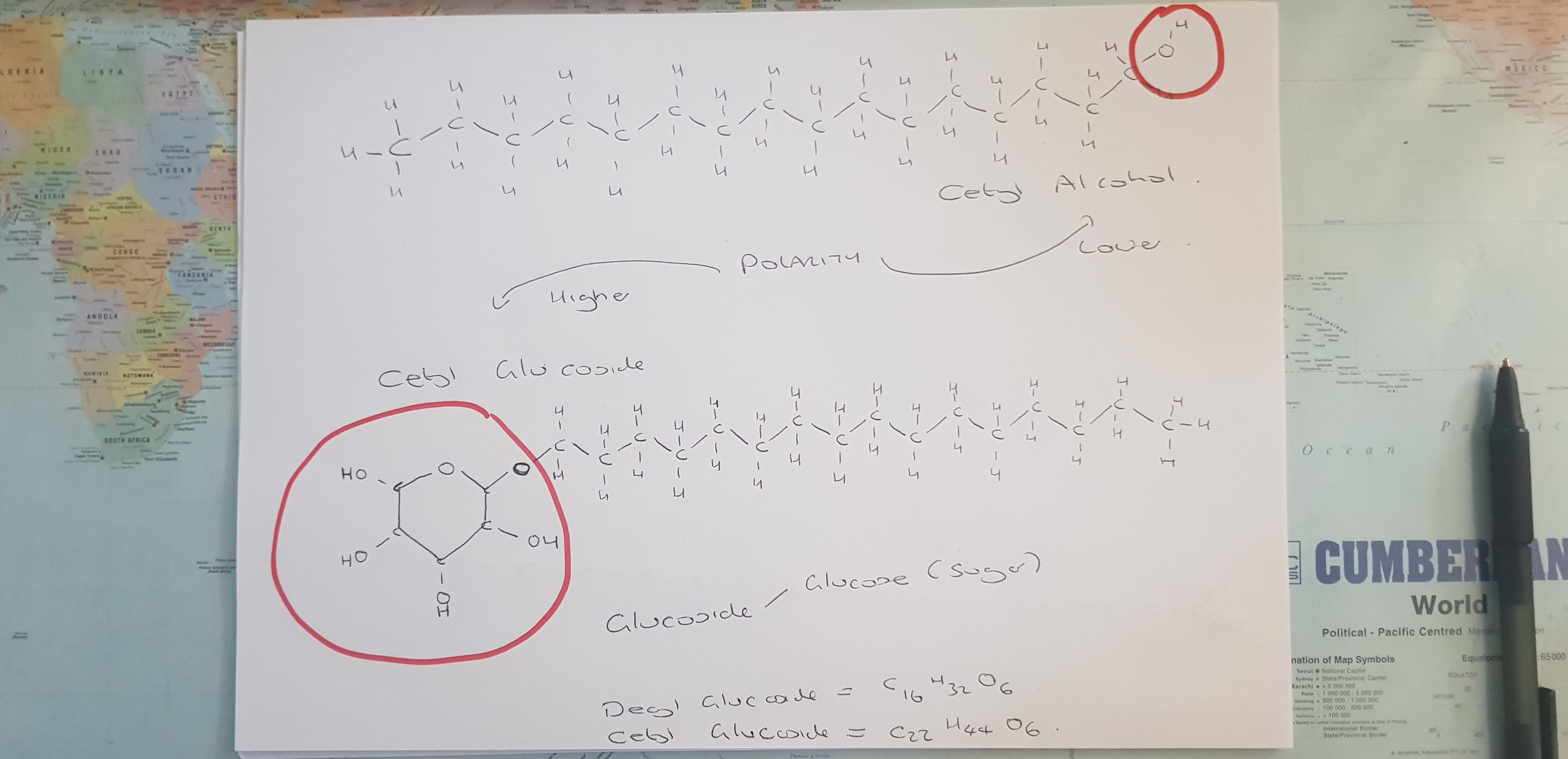 Difference Between Cetyl Alcohol and Stearyl Alcohol